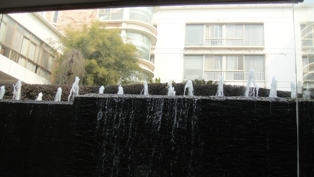 dsc09568.jpg