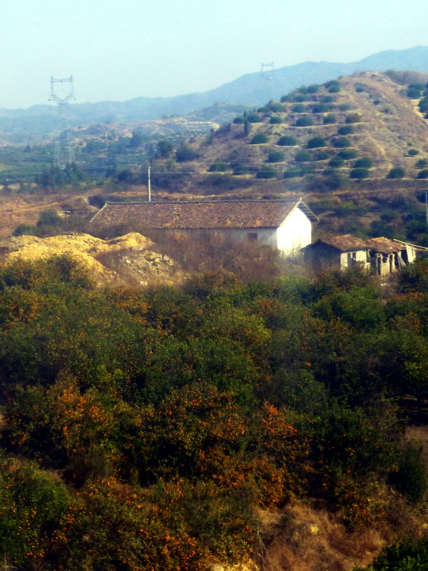 p1160543.jpg