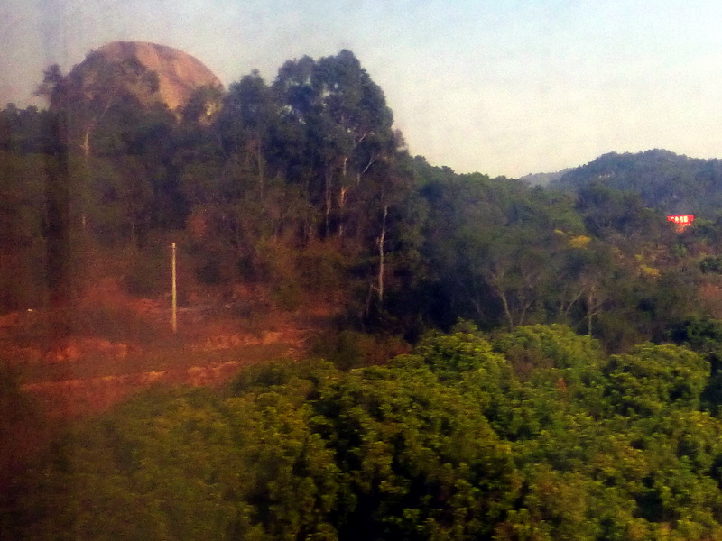 p1160551.jpg