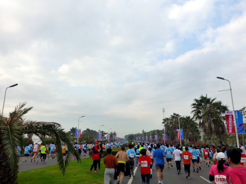 p1160691.jpg