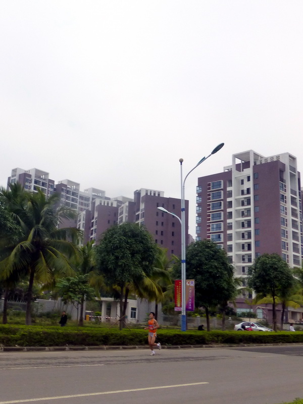 p1160084.jpg