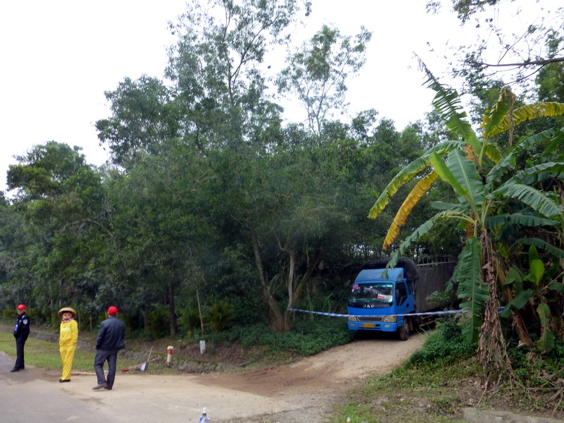 p1160115.jpg