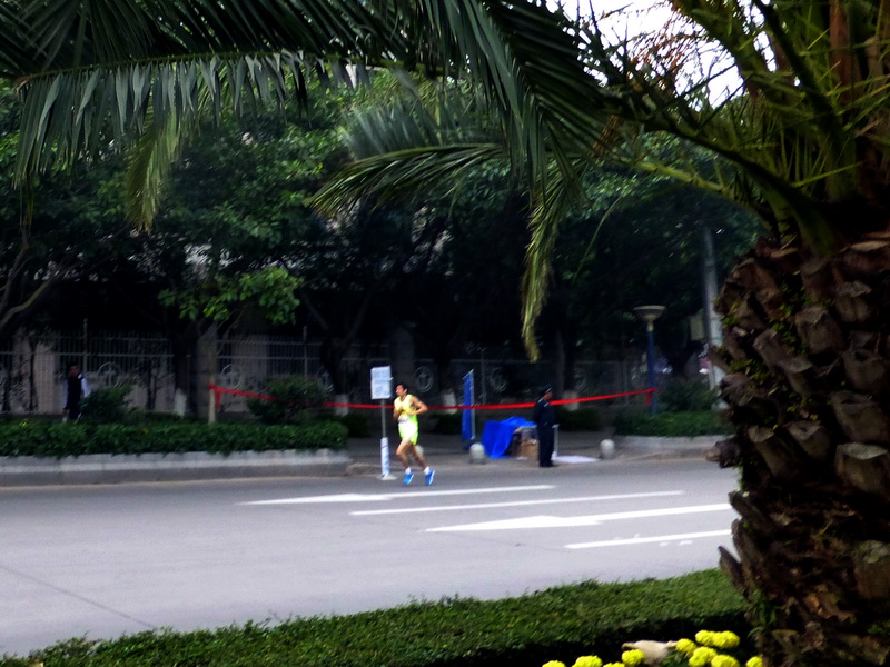 p1160762.jpg