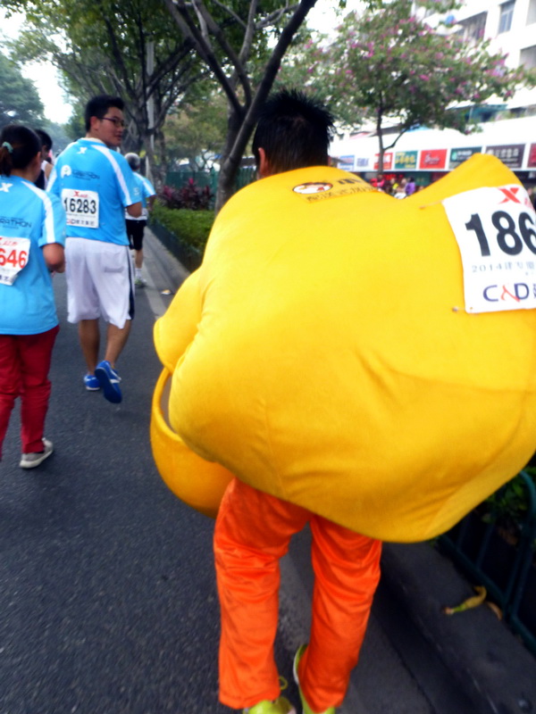 p1160798.jpg
