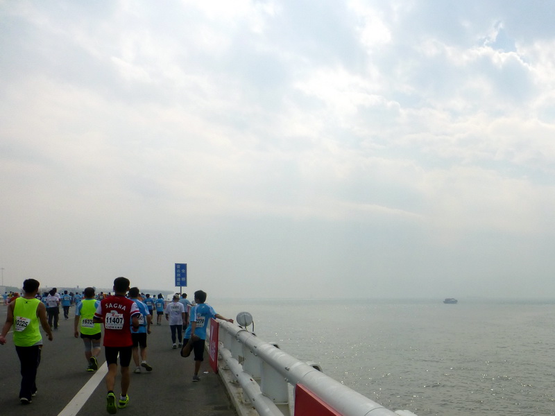 p1160833.jpg