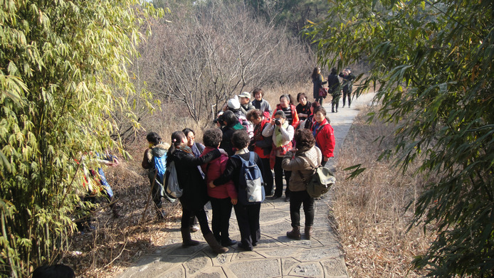 dsc08712.jpg