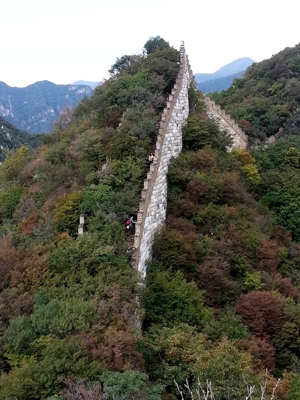 20141002_133701_.jpg