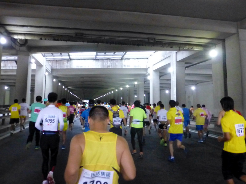 p1260149.jpg