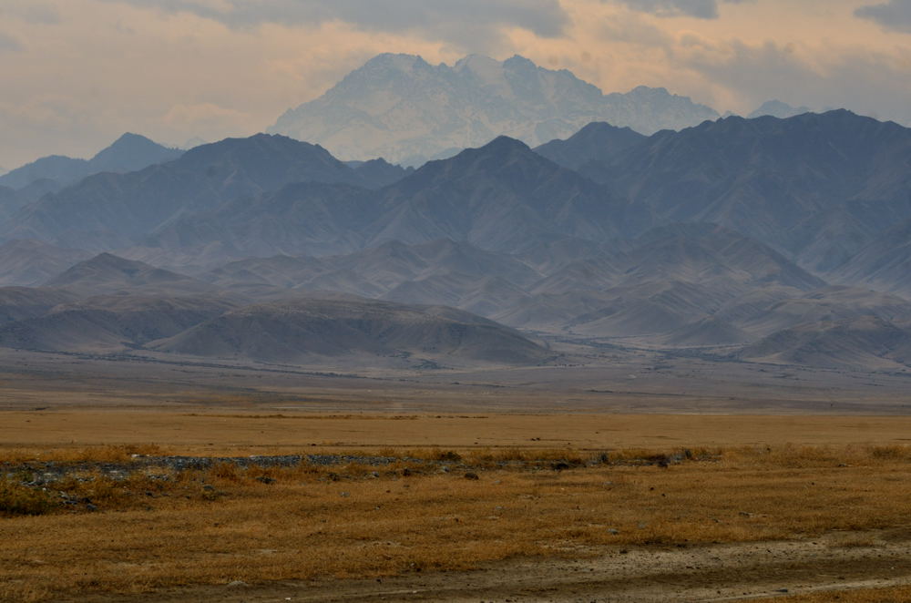 dsc_7430.jpg