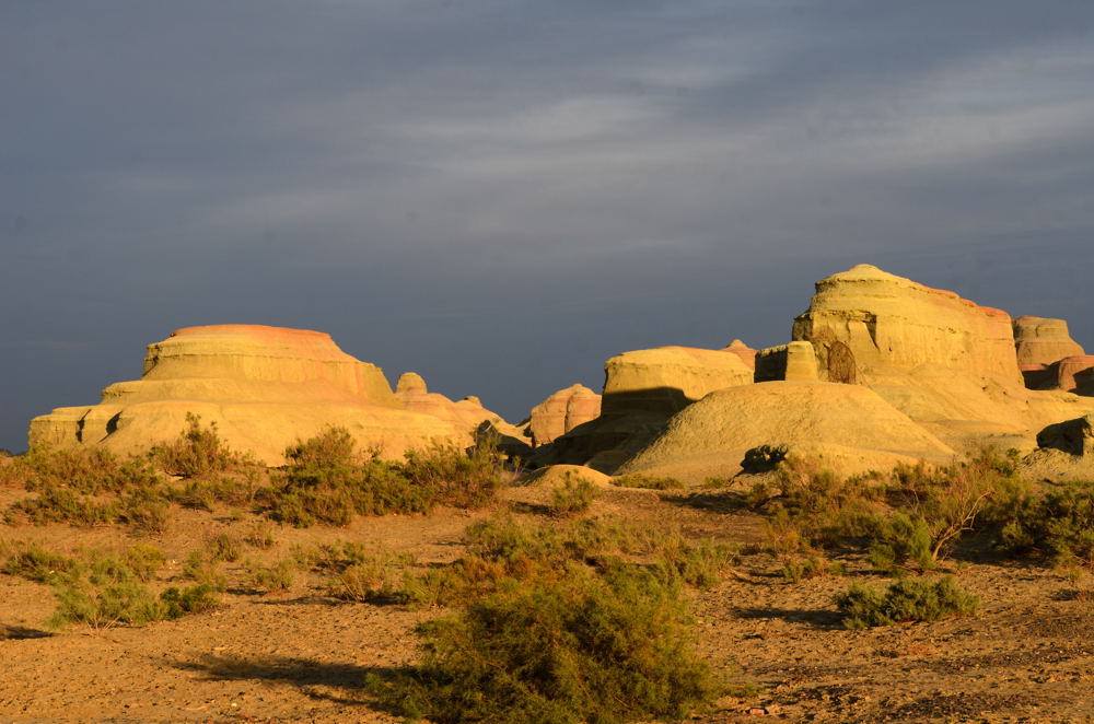 dsc_7497.jpg