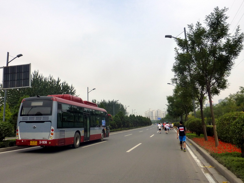 p1260215.jpg