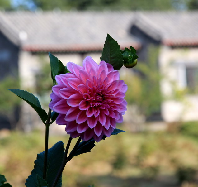 img_8618_缩小大小.jpg