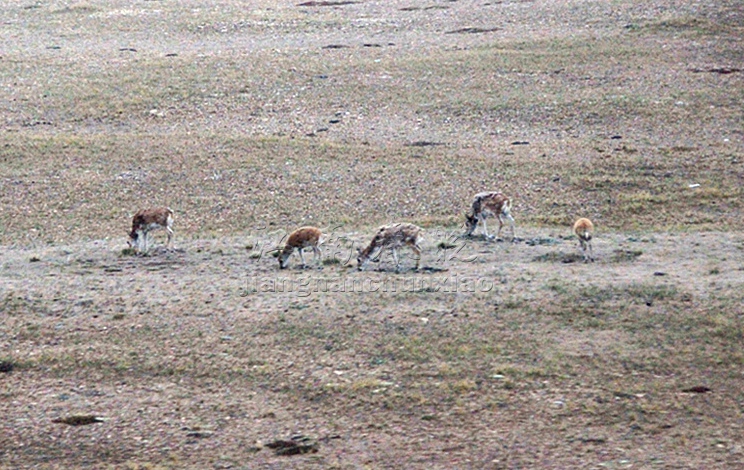 img_4641.jpg