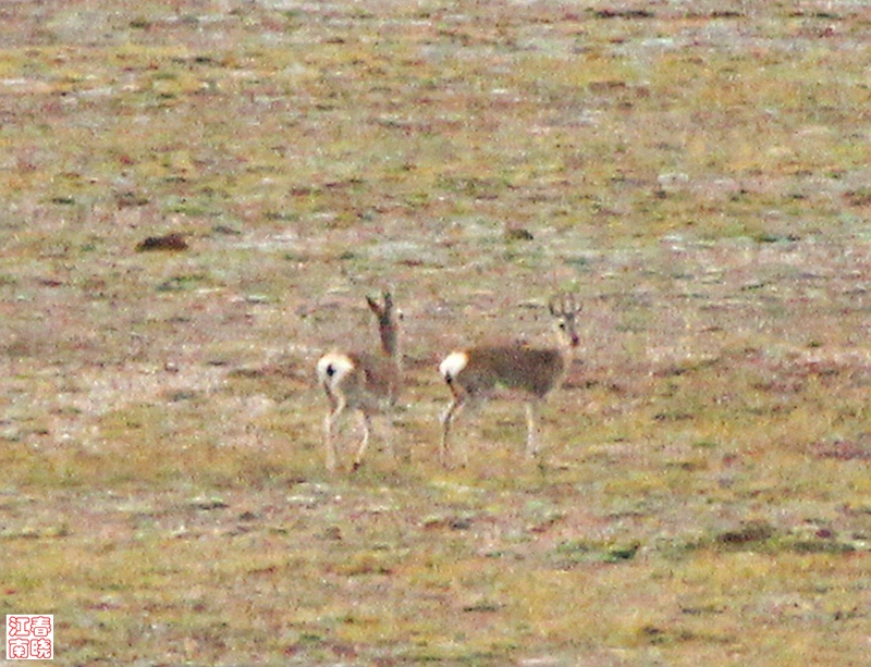 img_4648.jpg