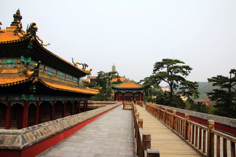 img_8687_缩小大小.jpg