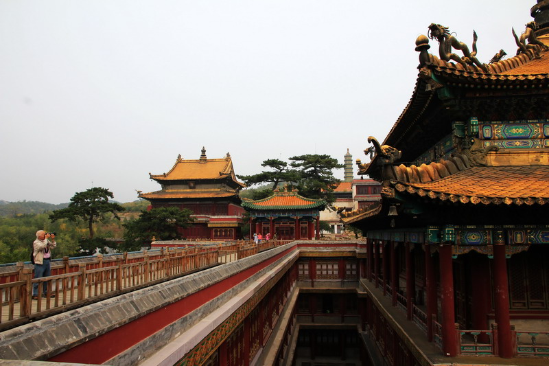 img_8690_缩小大小.jpg