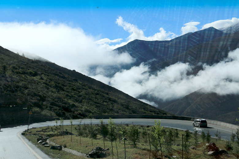 img_6505.jpg