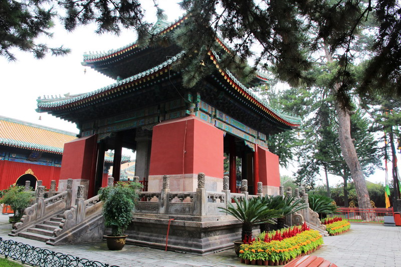 img_8701_缩小大小.jpg