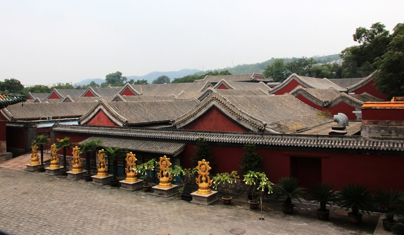 img_8706_缩小大小.jpg