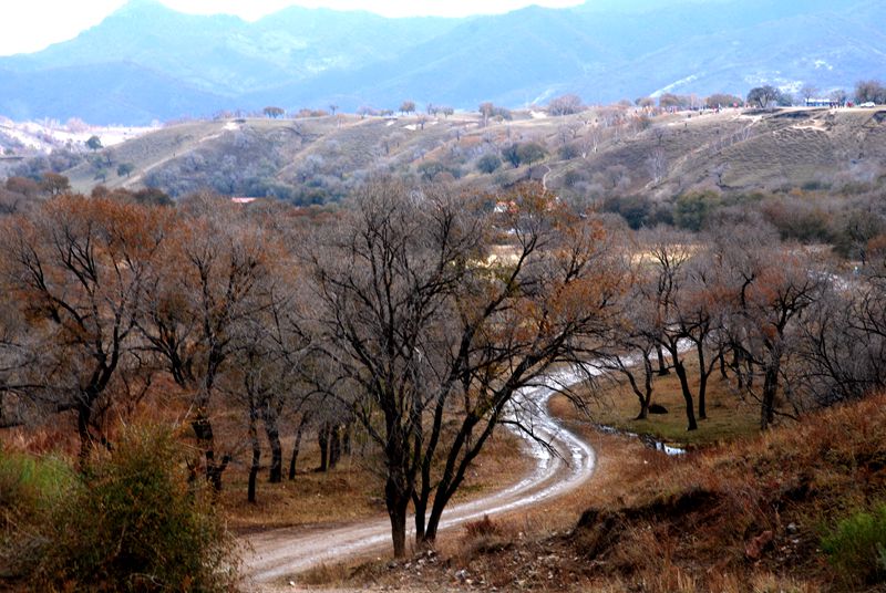 dsc_0113__.jpg