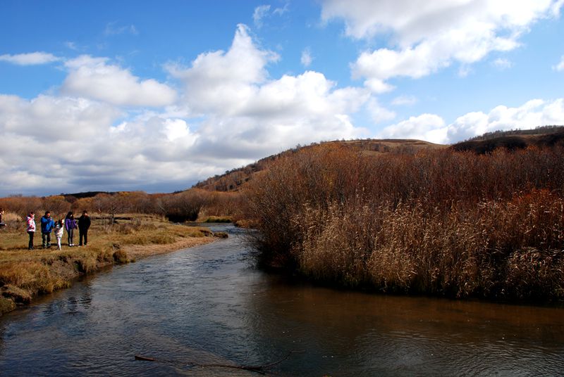 dsc_0722_.jpg