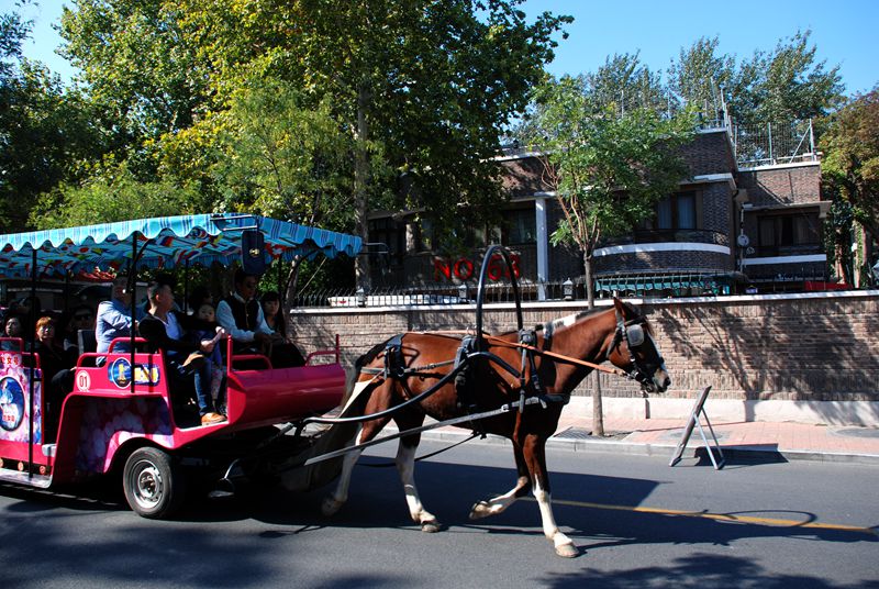 dsc_0772_.jpg