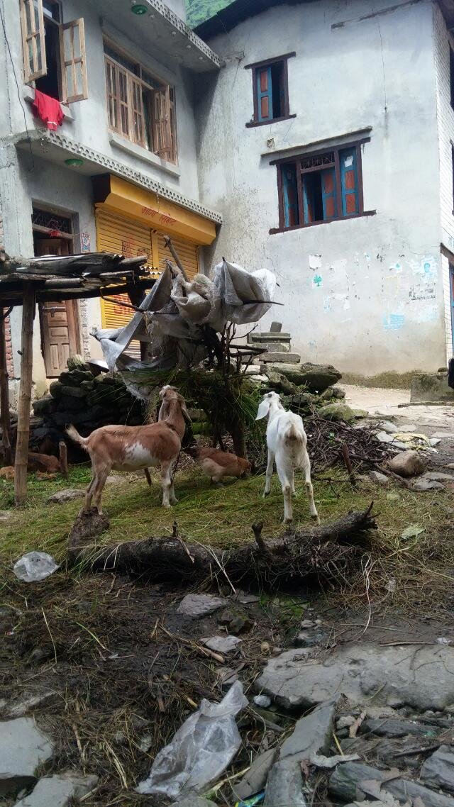 n14.jpg