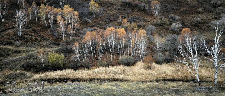 dsc_4855.jpg