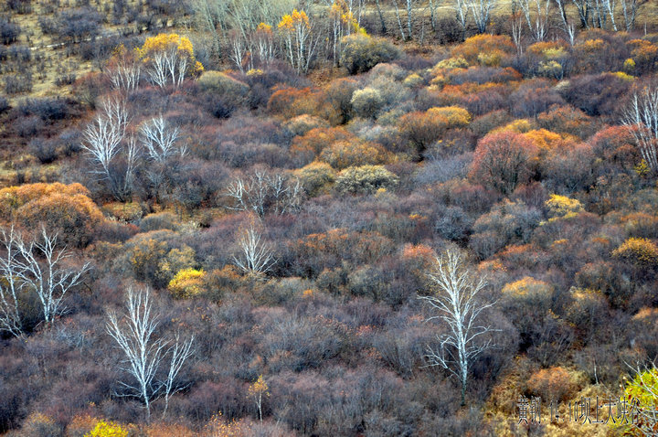 dsc_4998.jpg