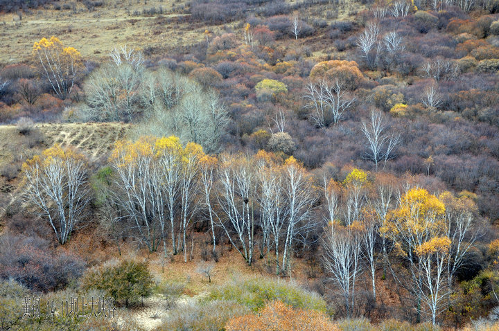 dsc_4997.jpg