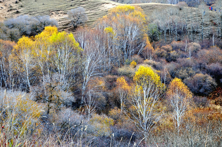 dsc_5014.jpg