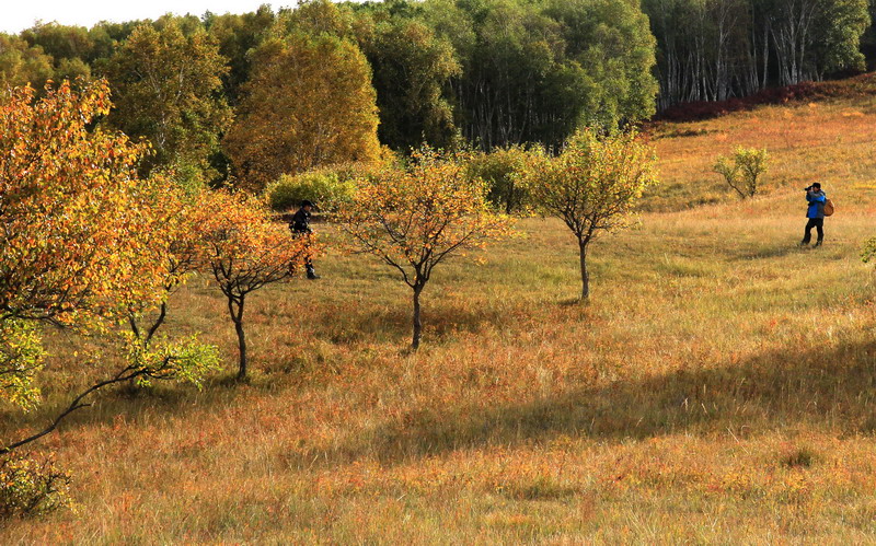 img_6857_СС.jpg