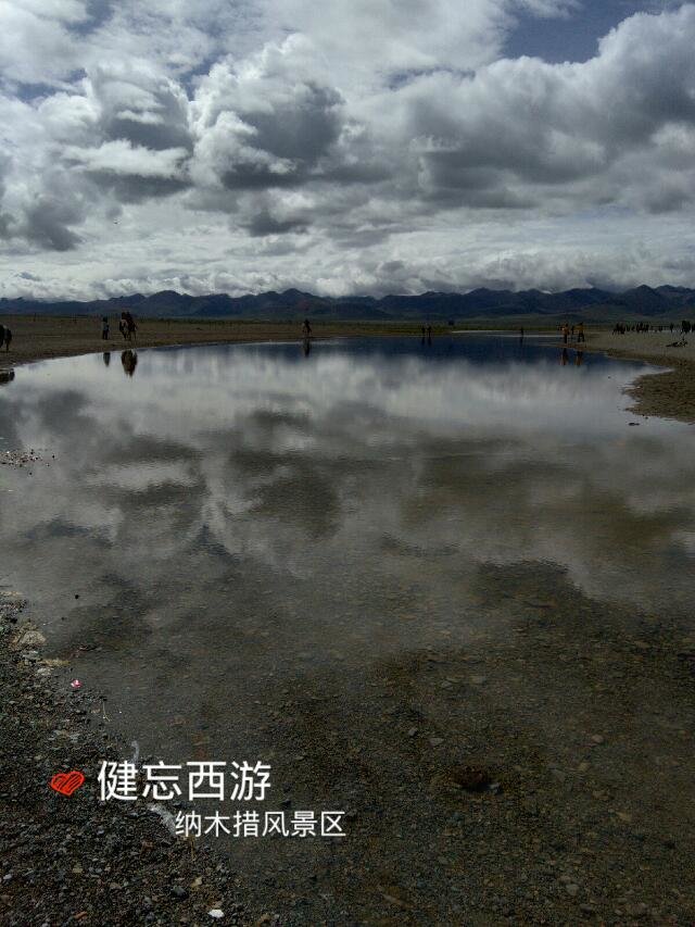 nm9.jpg