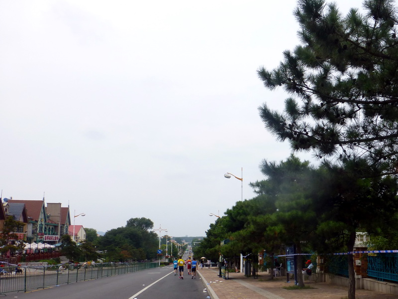 p1250932.jpg