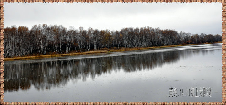 dsc_4980.jpg