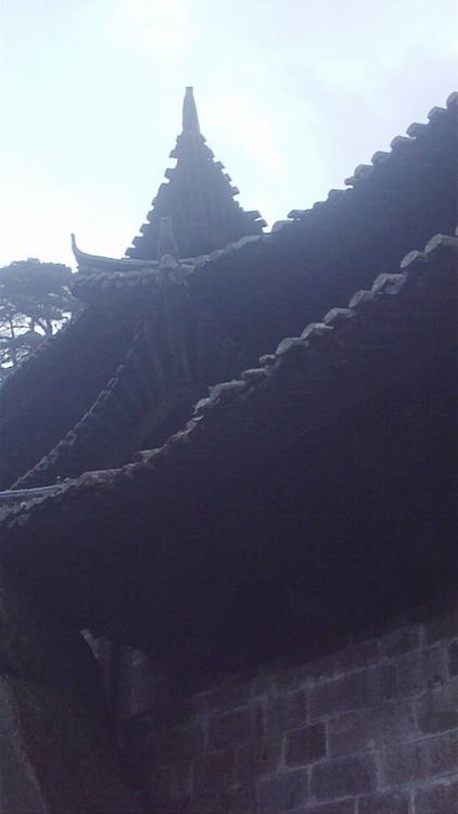 175.jpg
