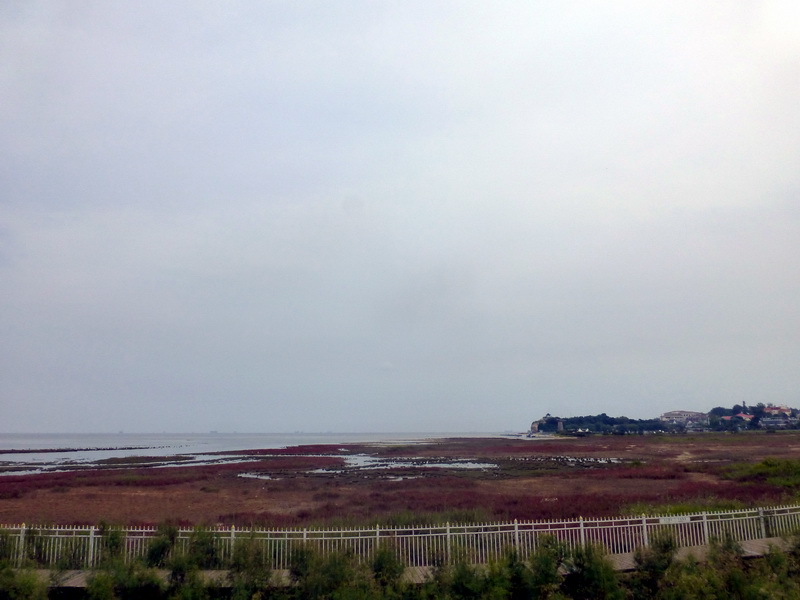 p1250941.jpg