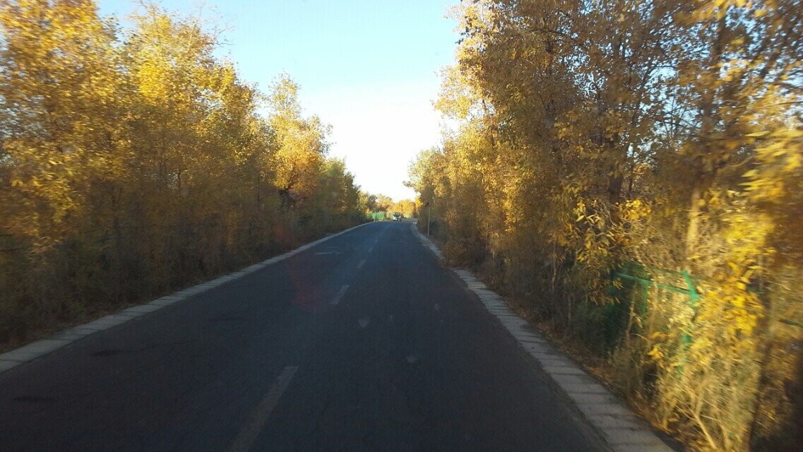 qqͼƬ20141021141049.jpg