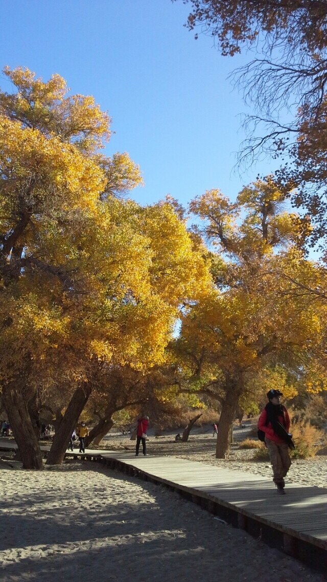 qqͼƬ20141021141042.jpg