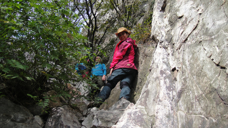 dsc08082.jpg