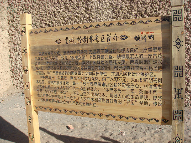 dsc08437_.jpg