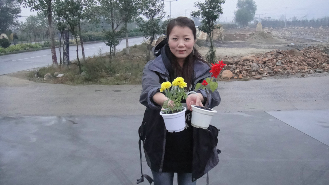 dsc08262.jpg