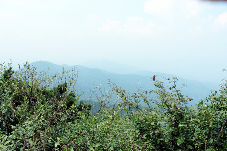 鸡公山002.jpg