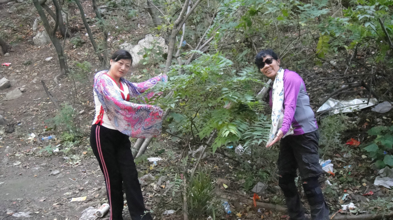 dsc08117.jpg