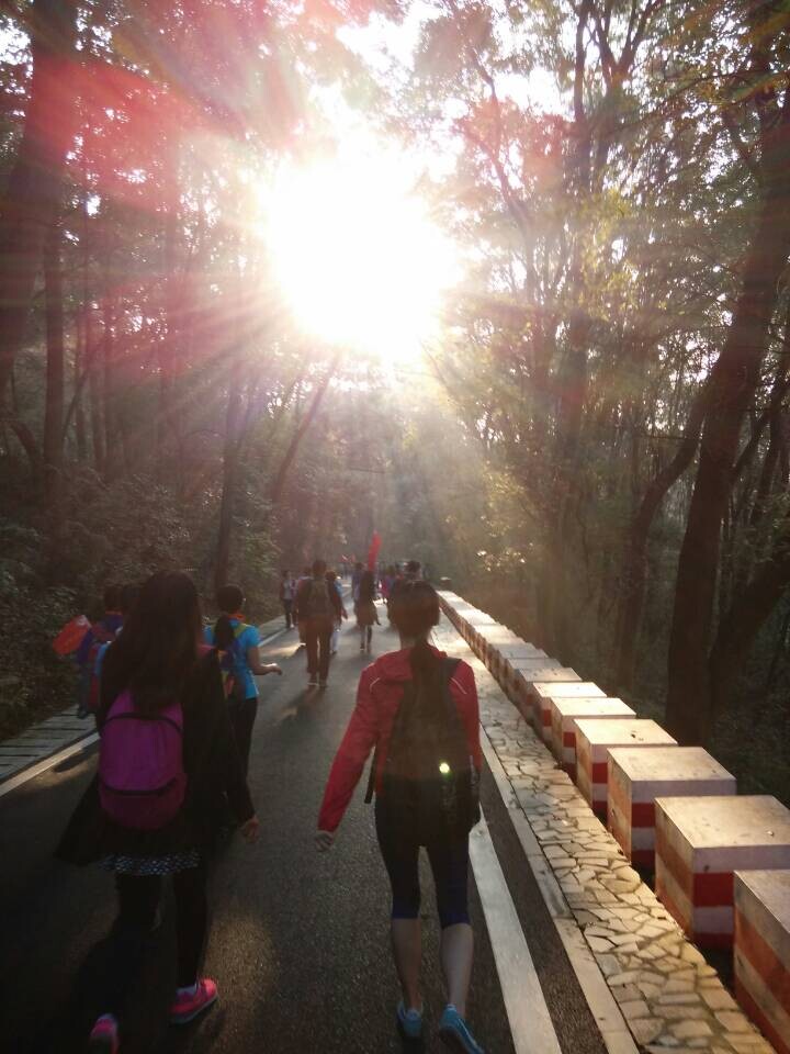 qqͼƬ20141025084546.jpg