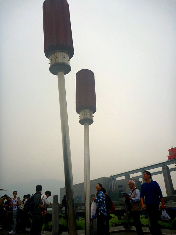 p1220568_.jpg