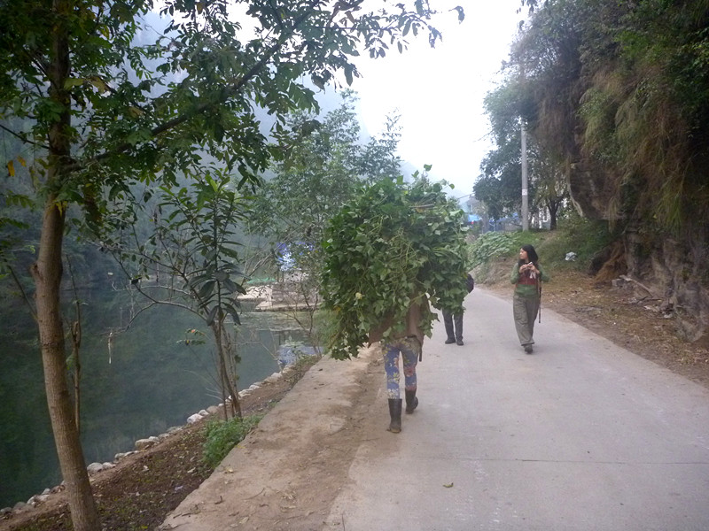 p1220578_.jpg