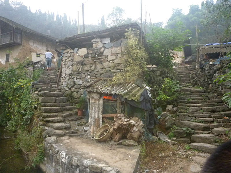 p1220581_.jpg