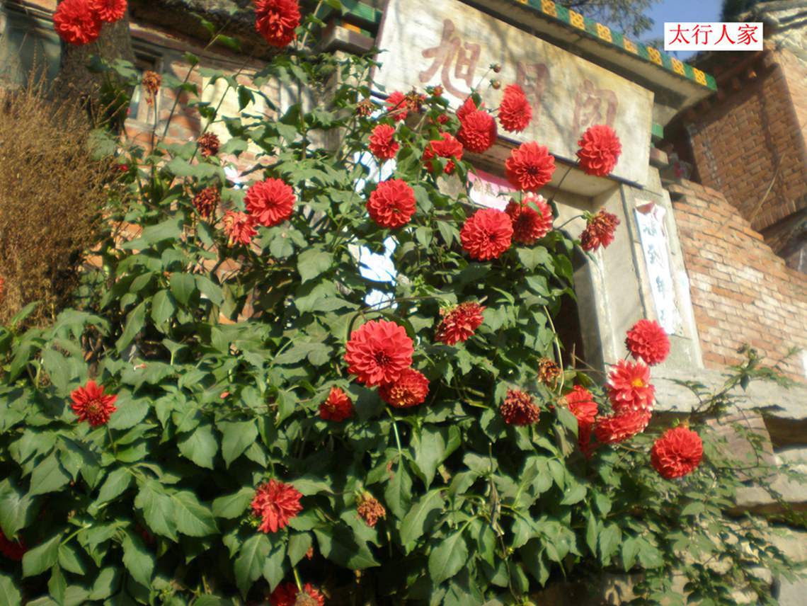 pa130025.jpg