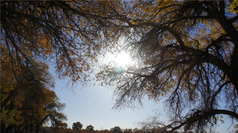 dsc03772_.jpg